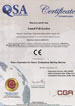 QSA International Certificate